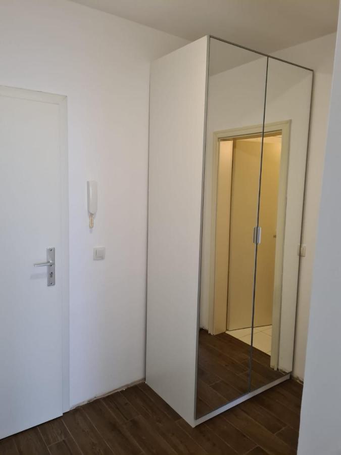 Garsoniera Zebra Apartment Brasov Bagian luar foto