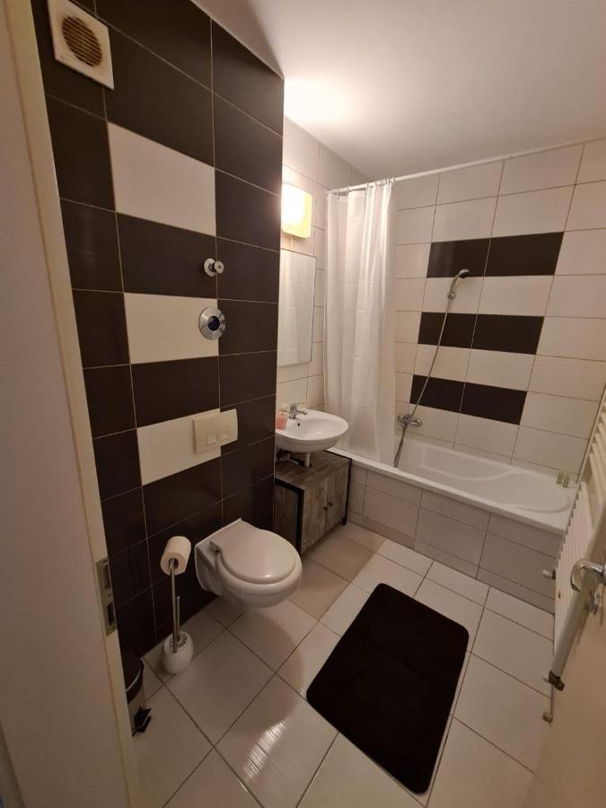 Garsoniera Zebra Apartment Brasov Bagian luar foto